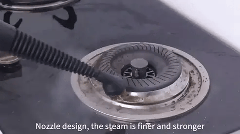 DF - A001 Handheld 1000 W Steam Cleaner – Chemical - Free Record - Crease & Germ Cleaning (UAE) - uae